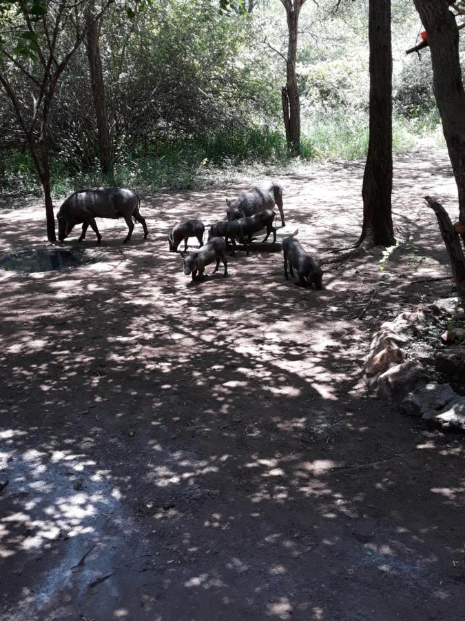 African Sky Marloth Park Exterior foto