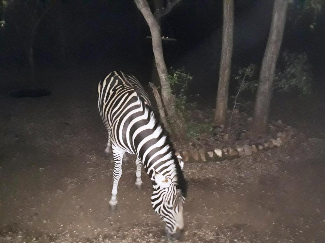 African Sky Marloth Park Exterior foto